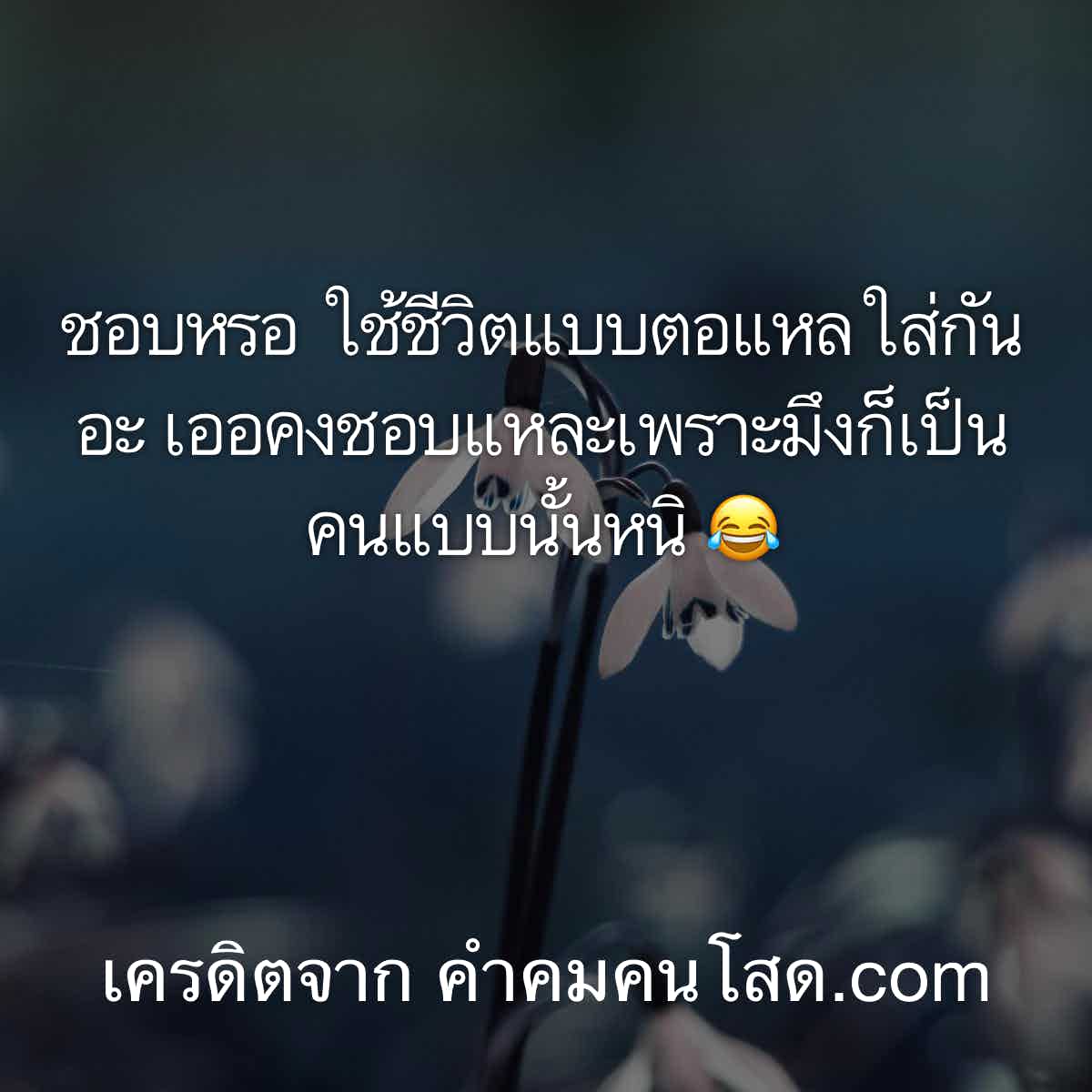 ส่งต่อ 138 แคปชั่นแรงๆความหมายดีๆเอาไปเพิ่มยอดติดตามบน Ig